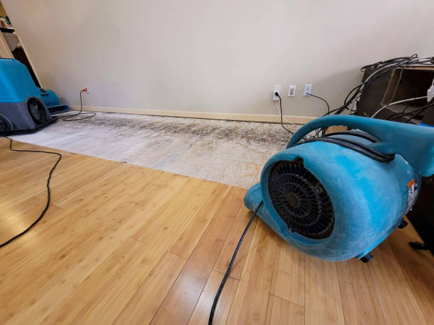 Professional Water Removal technician working in Saint Paul, OR